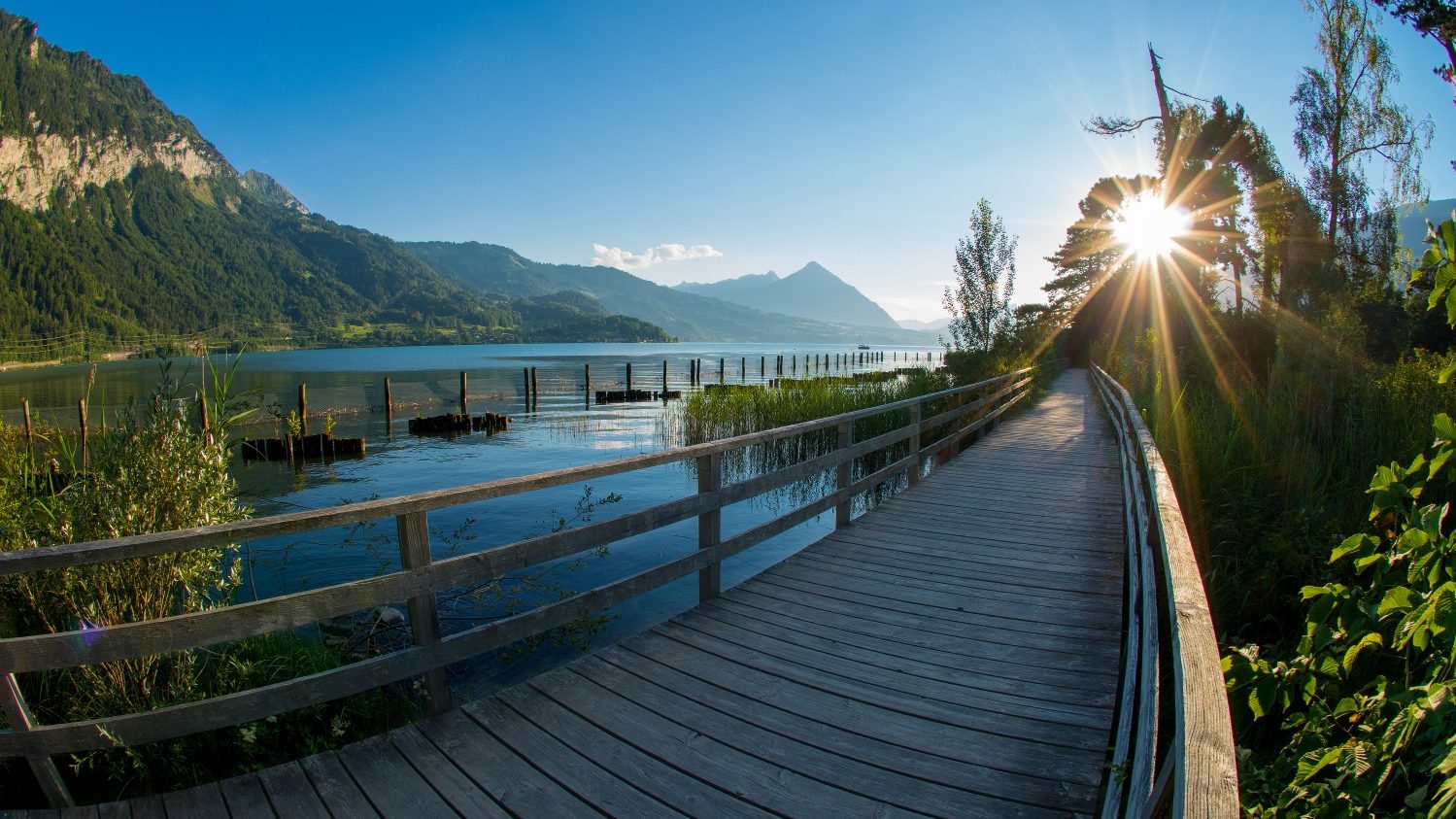 Psychotherapie Thun Interlaken